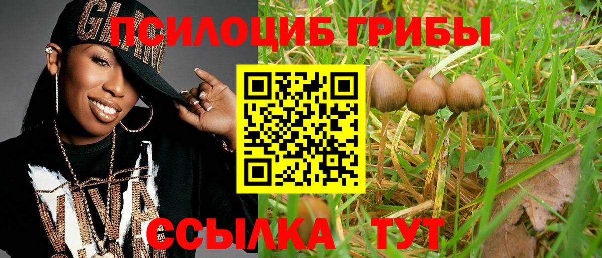 Псилоцибиновые грибы ЛСД Полысаево