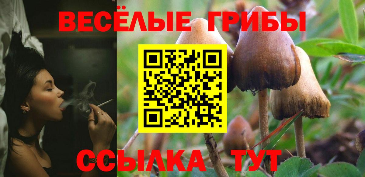 Галлюциногенные грибы мицелий  Вход с VPN  Полысаево 